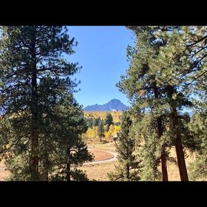 Meet your Posher, Caitlin